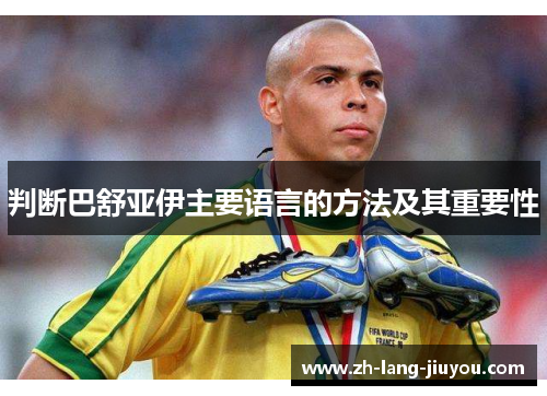 判断巴舒亚伊主要语言的方法及其重要性
