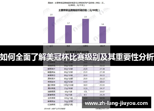 如何全面了解美冠杯比赛级别及其重要性分析 如何全面了解美冠杯比赛级别及其重要性分析