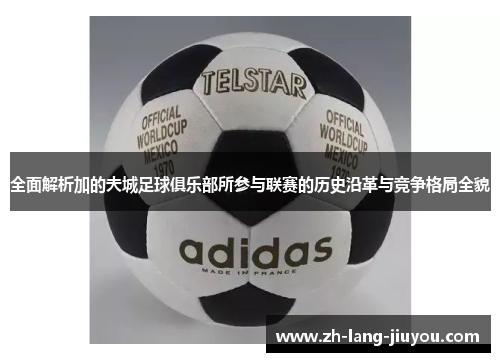 全面解析加的夫城足球俱乐部所参与联赛的历史沿革与竞争格局全貌 全面解析加的夫城足球俱乐部所参与联赛的历史沿革与竞争格局全貌