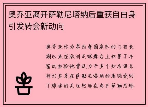 奥乔亚离开萨勒尼塔纳后重获自由身引发转会新动向 奥乔亚离开萨勒尼塔纳后重获自由身引发转会新动向